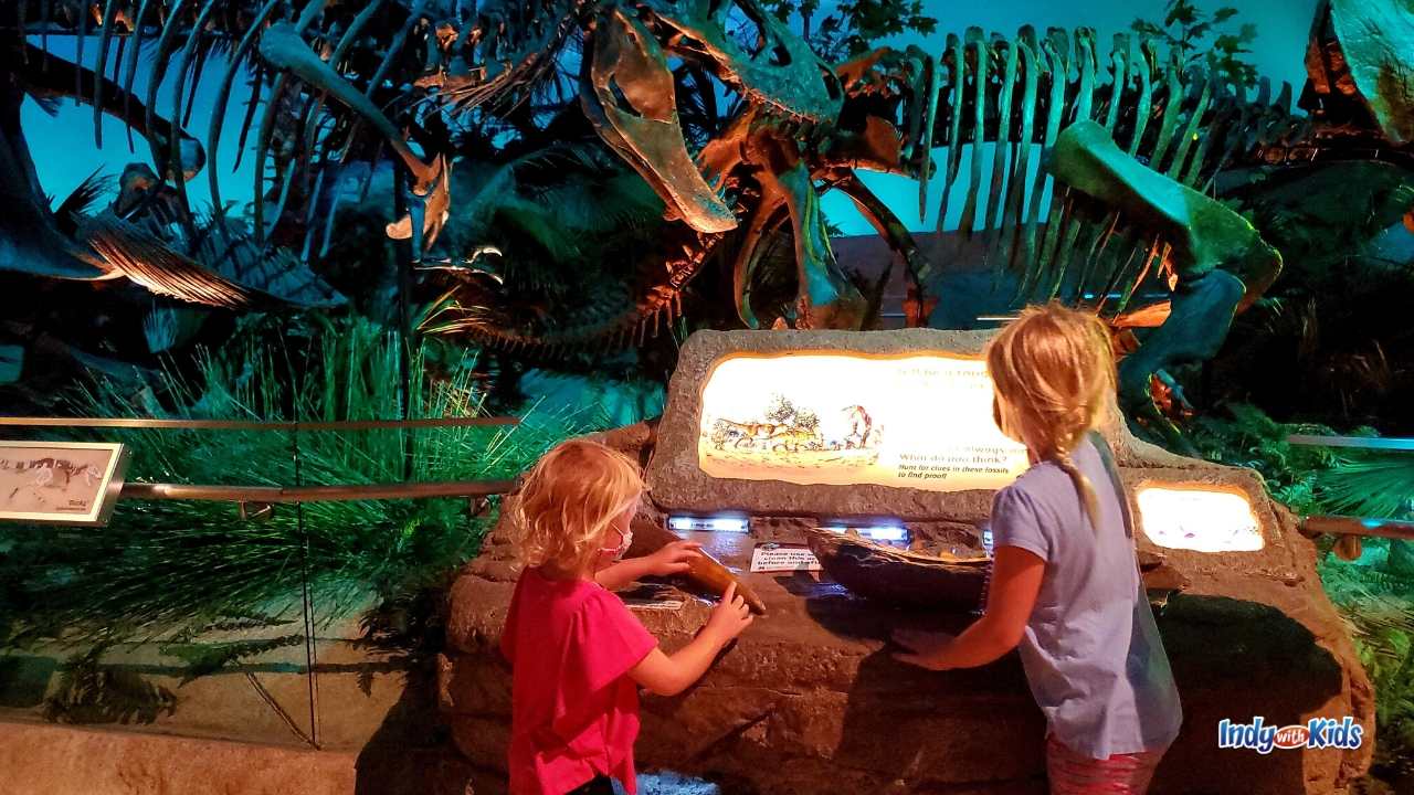 Indianapolis Children's Museum: Travel back to the time of dinosaurs in Dinosphere.