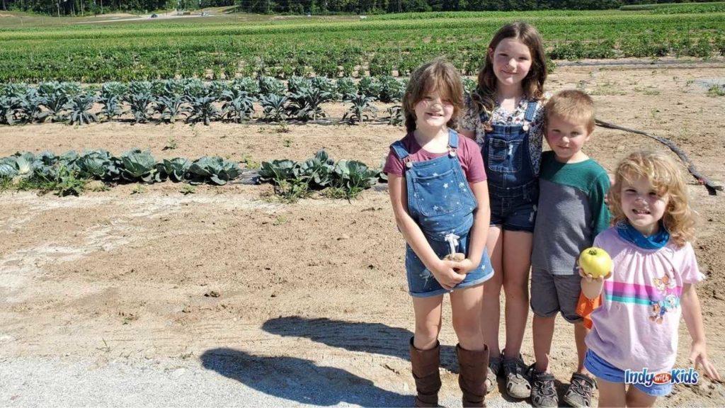 Fishers Agripark invites kids to learn about agriculture and farming.