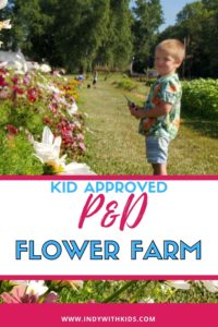 P and D Flower Farm u-pick flowers with kids