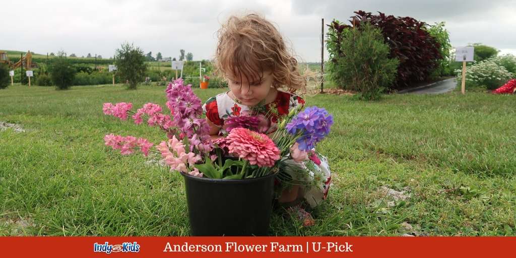 Anderson Flower Farm | U-Pick Flower Farm 45 Minutes from ...