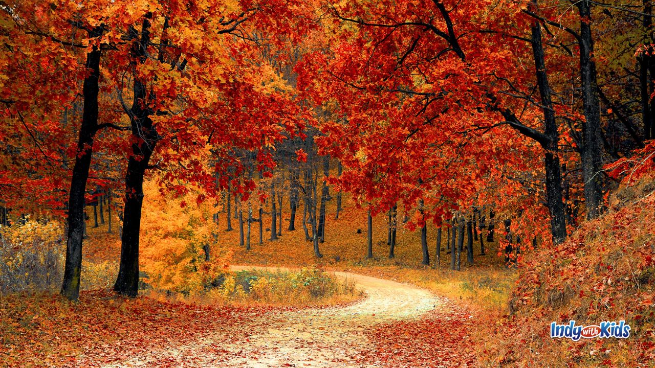 Fall in Indiana is a beautiful time to get out and enjoy nature's colorful show.