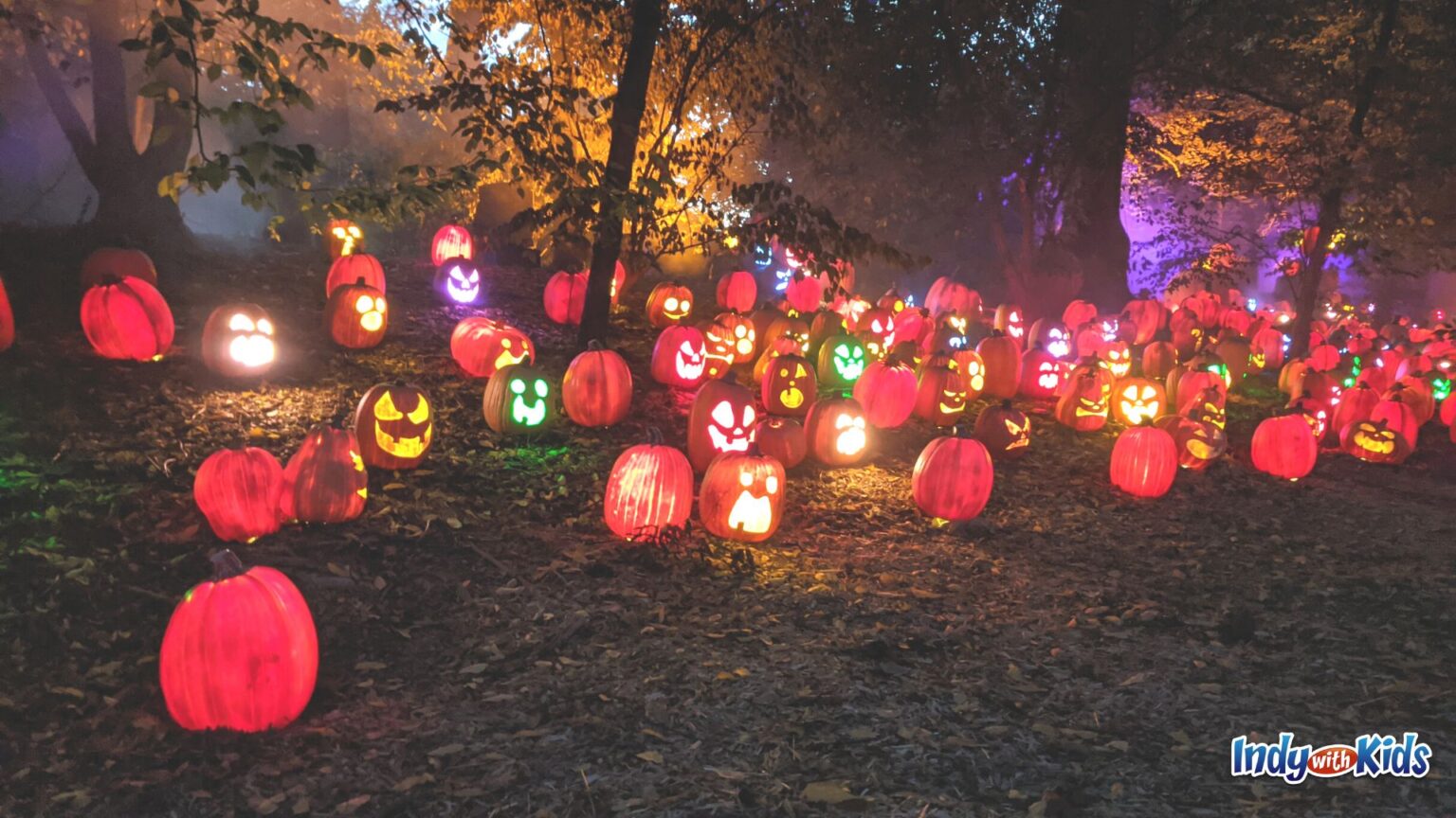Newfields Harvest Nights Spooky Halloween Light Show for All Ages