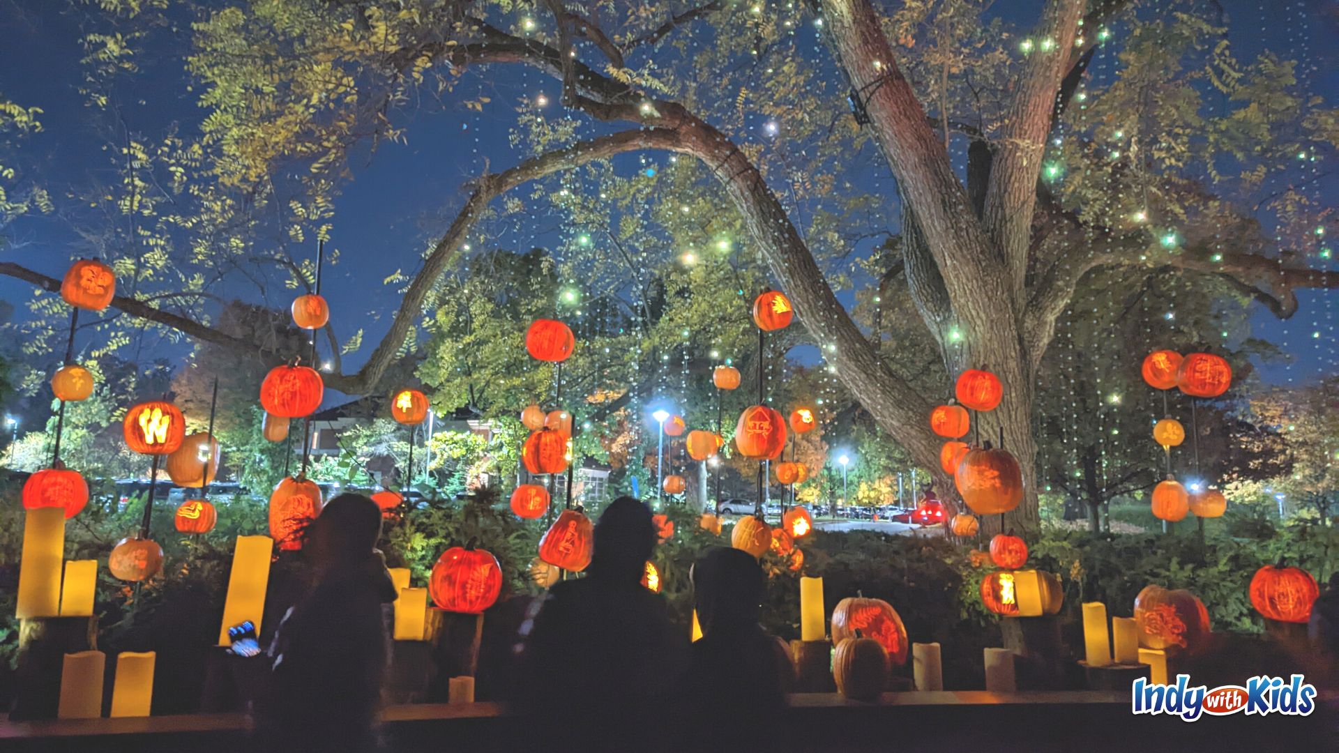The twinkling tree and carved pumpkins at Newfields Harvest Nights are dazzling.
