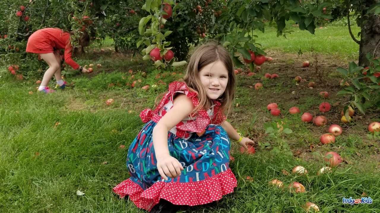 Fun Things to Do in Fall: Pick apples at a local orchard.