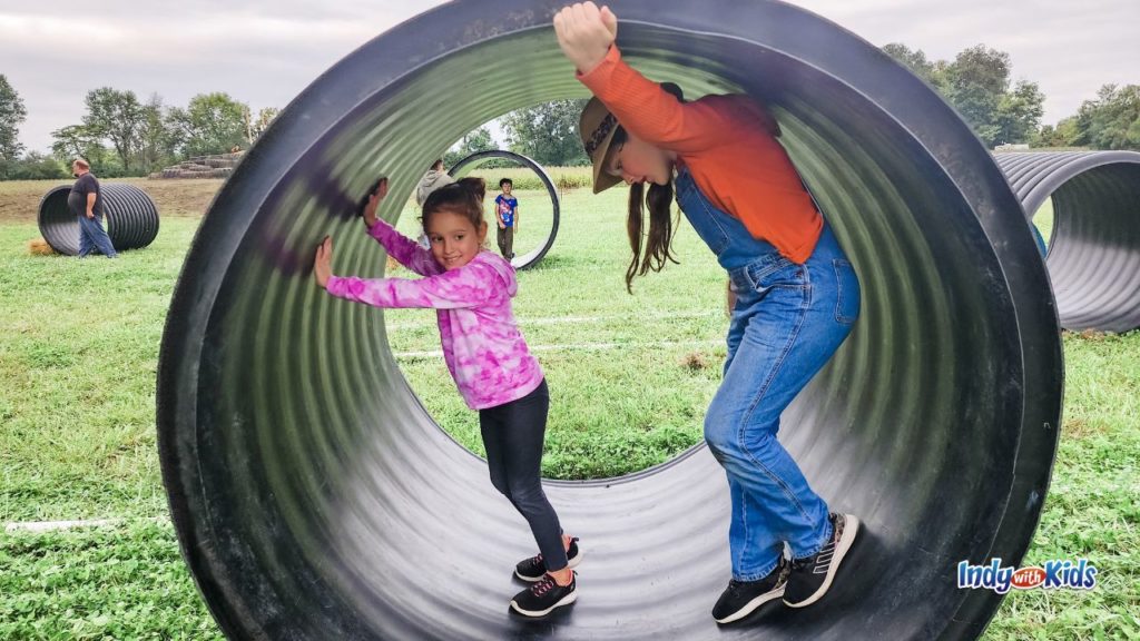 Waterman's Farm PumpkinChomping Dino, Hayride, and More in Indianapolis