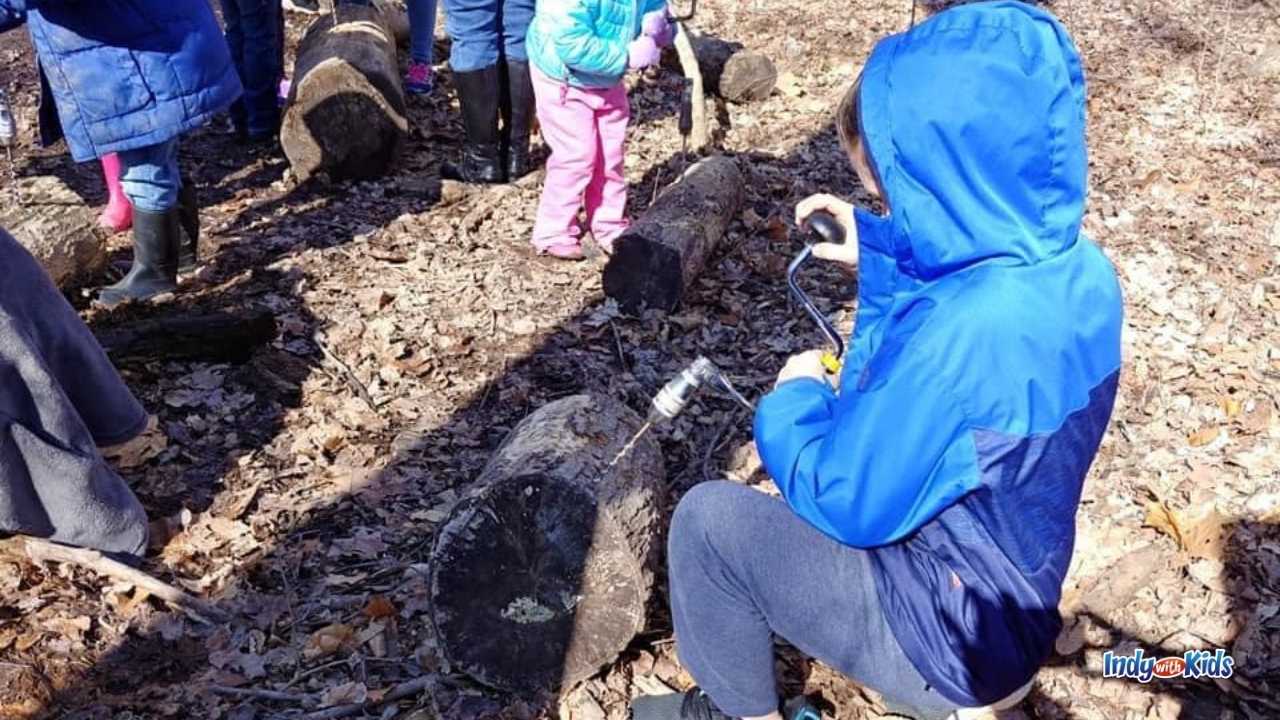 Learn to how to tap a sugar maple tree at a Central Indiana maple syrup festival.