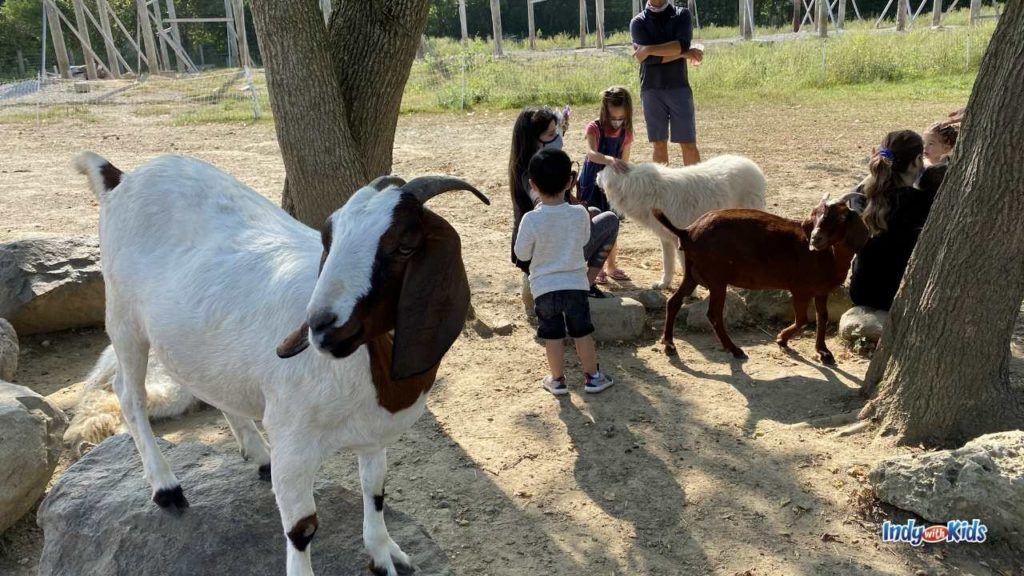 Wonder Tree Farm Wondertree Farm | Farm & Petting Zoo in Zionsville - Indy with Kids