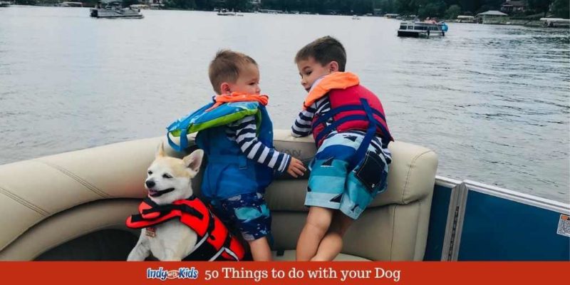 50 Things to do with your Dog