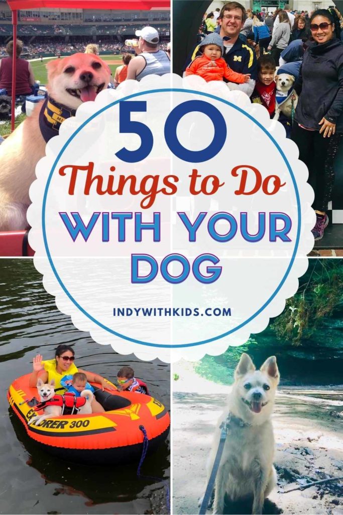 50-things-to-do-with-your-dog