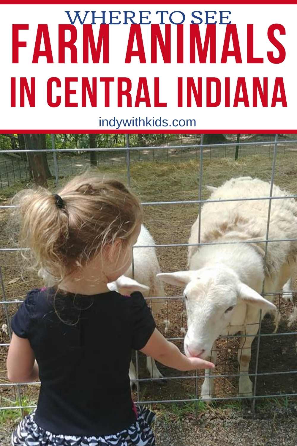 Places to Visit Farm Animals around Central Indiana