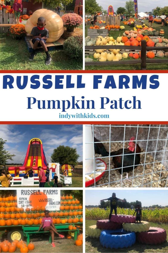 Russell Farms Pumpkin Patch Get the Essential Fall Experience in