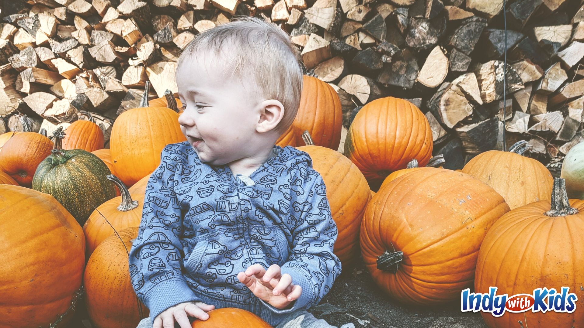 indy pumpkin patch