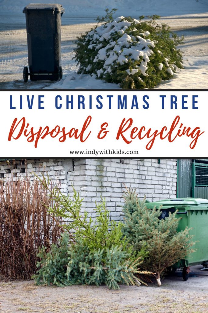 Where Can I Recycle My Christmas Tree in Indianapolis and Other Areas?