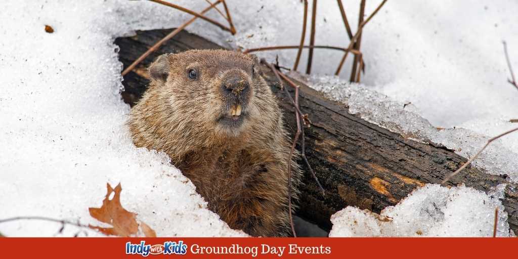 The Legend of the Groundhog | Hendricks County