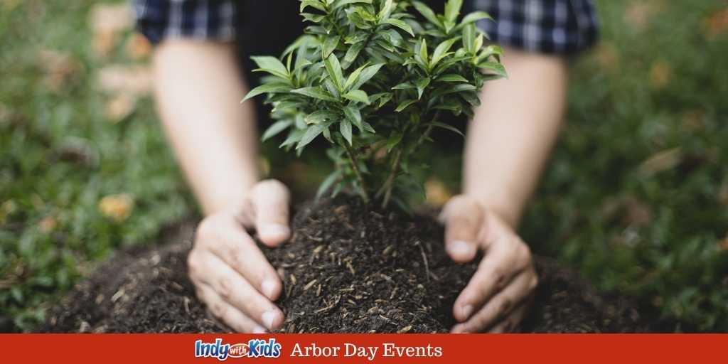 Arbor Day - Tree Giveaway