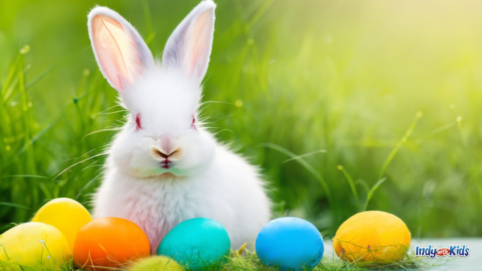 Easter Bunny Pictures Near Me: A fluffy white rabbit is surrounded by colorful easter eggs against a background of green grass.