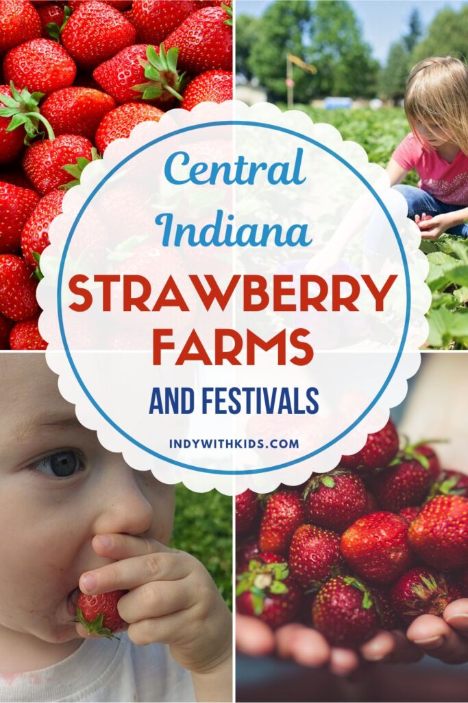 6 Sweet Farms for Strawberry Picking Near Me Indianapolis Strawberry