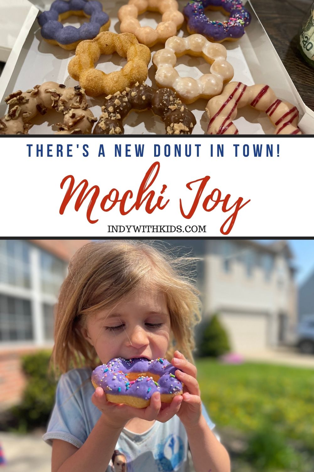 Mochi Joy Donuts First of Its Kind Donut Shop in Noblesville