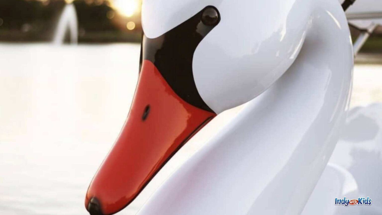 Indianapolis Swan Boats on the Canal