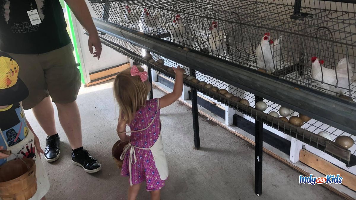 Indiana State Fair kids activities: Take babies and toddlers to play at Little Hands on the Farm.