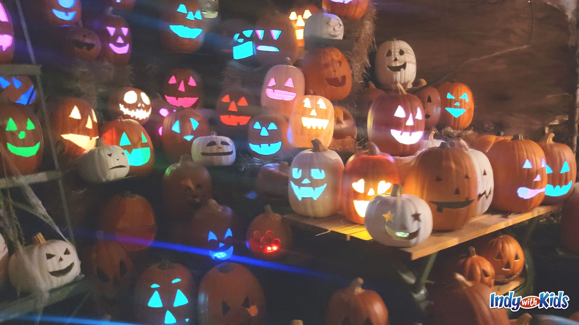 The PumpkinTown Sullivans Express experience is a blast for families with young children.