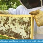 Pollinator Palooza