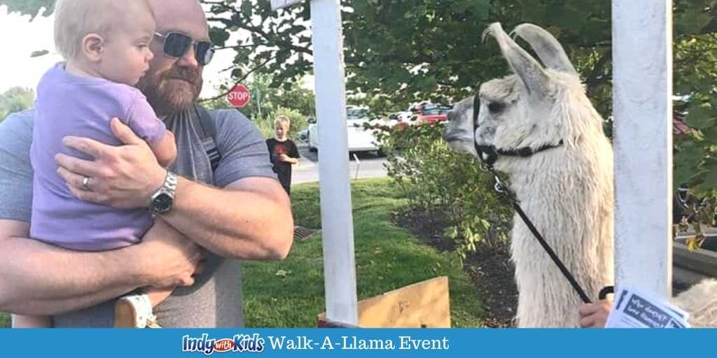 Walk a Llama