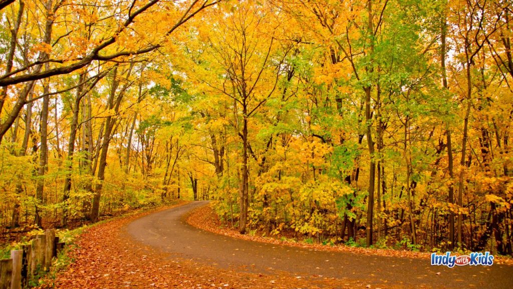 Indianapolis Date Nights | 10 Romantic Date Ideas in November 2024