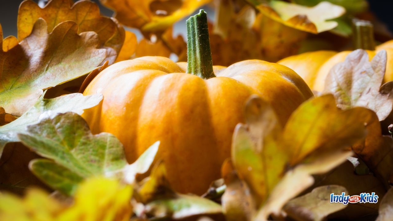 Free things to do in Indianapolis: a pumpkin sits in a patch of leaves.