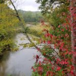 Fall Colors Festival