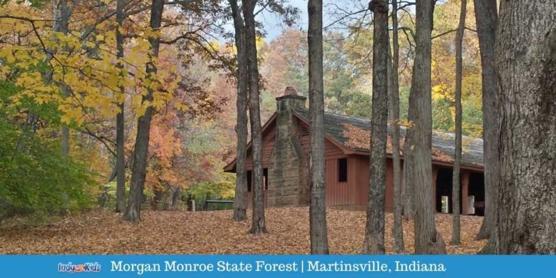 Escape to Serenity: Unlocking the Treasures of Monroe State Forest