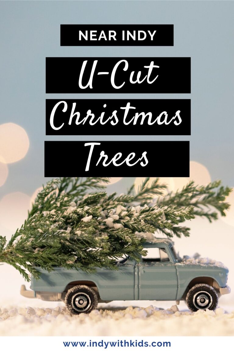 Central indiana christmas tree farms