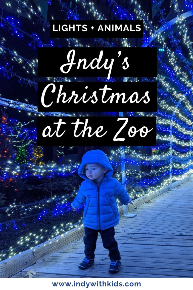 Indianapolis Christmas at the Zoo Celebrate with Sparkly Lights and