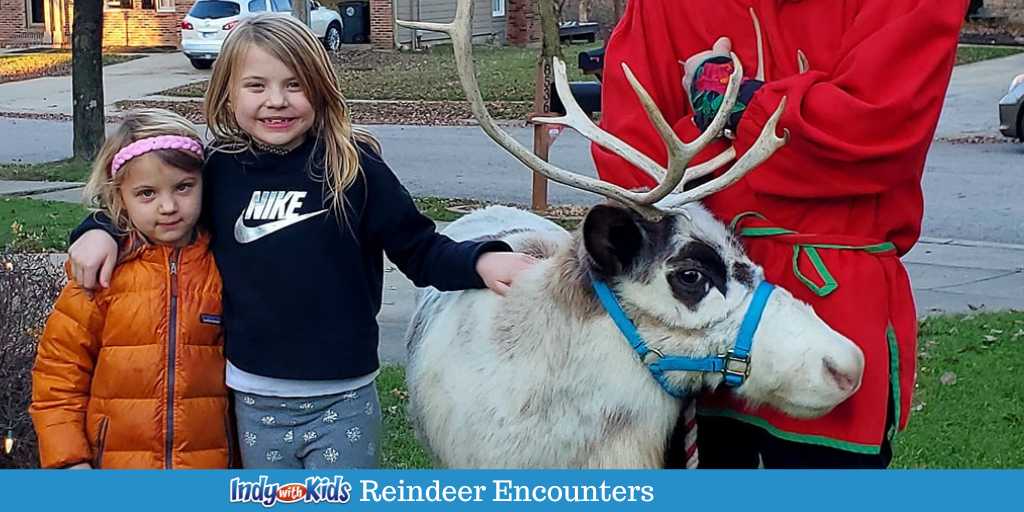 Meet a Reindeer