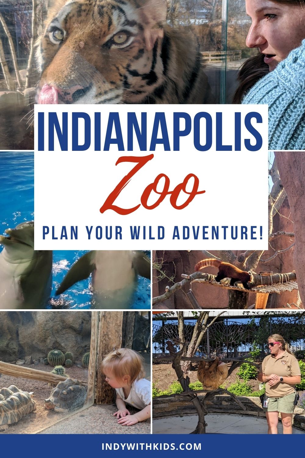 The Indy with Kids guide to visiting the Indianapolis Zoo.