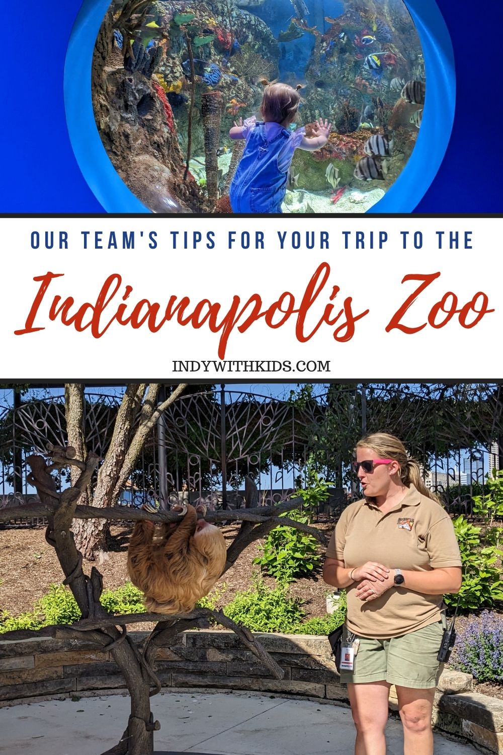 The Indy with Kids team shares tips for visiting the Indianapolis Zoo.