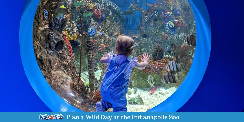 The Indianapolis Zoo Plan a Wild Day at This Essential Indy