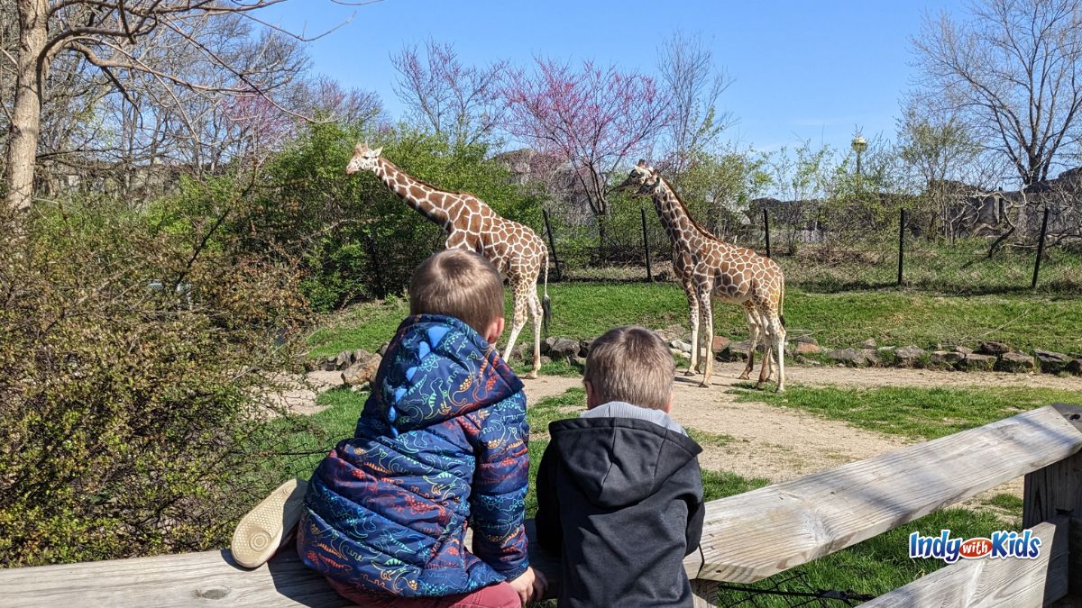 The Indianapolis Zoo is an essential, kid-approved Indy attraction.