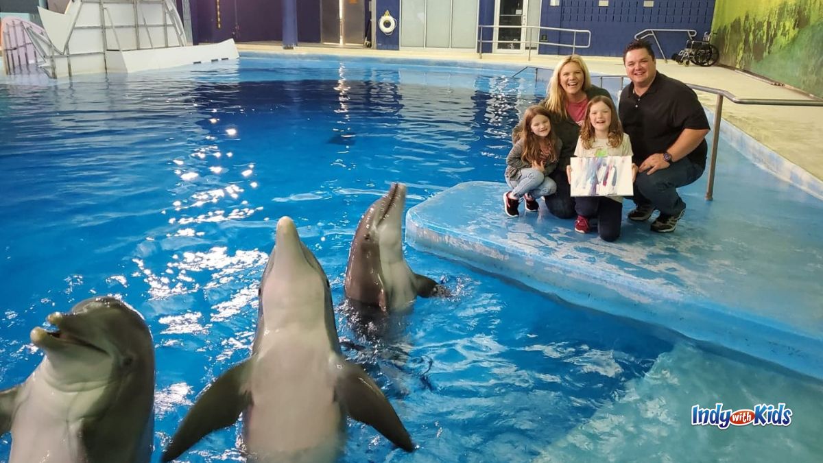 Premium experiences at the Indianapolis Zoo include up-close interactions with dolphins.