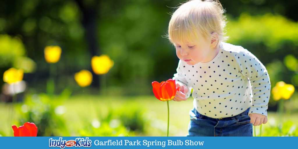Spring Bulb Show