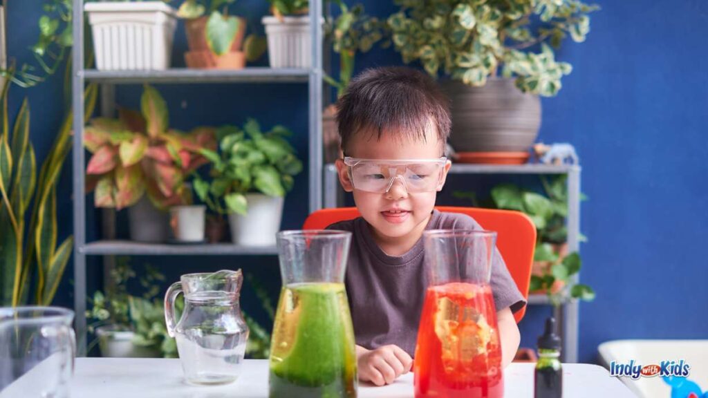 a little boy with protective science goggles sits behind two glass containers ready to perform an experiment. there is a shelf with lots of different plants behind him.