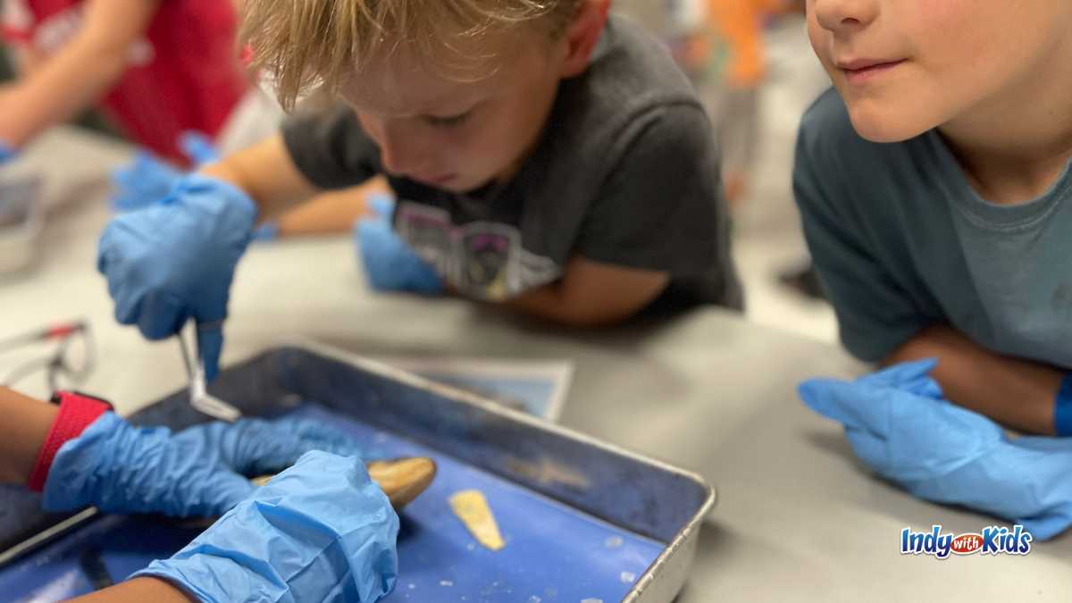 Sycamore School Summer Programs Dissecting a Frog