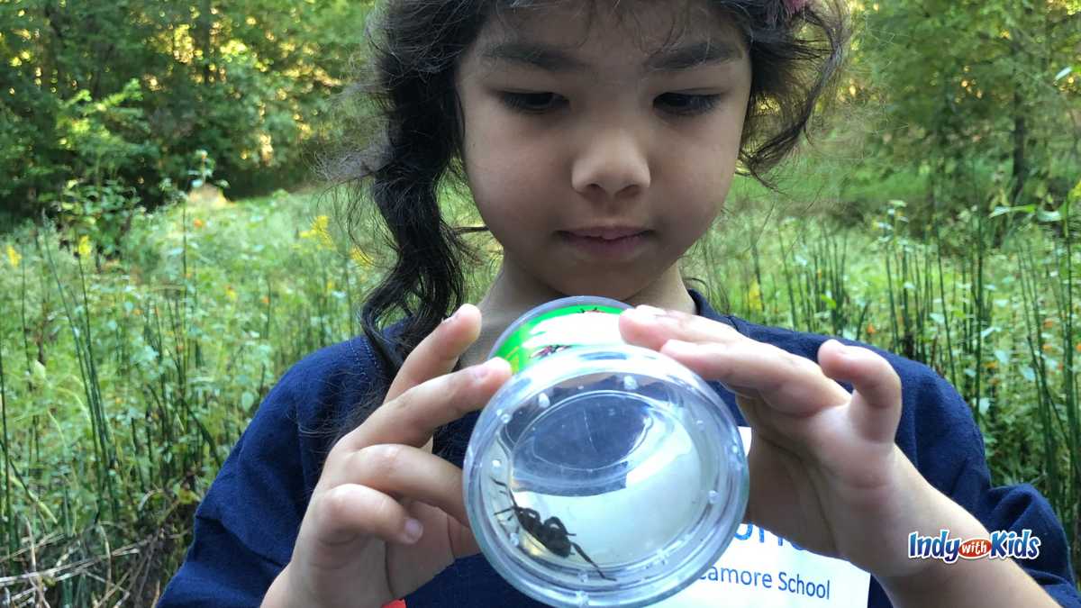 Sycamore School Summer Programs Outdoor Girl Catching Bugs