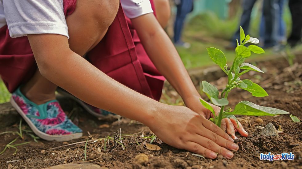 A child's hands pats the soil around a freshly planted tree sapling for Earth Day.