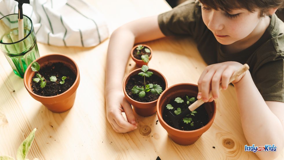 A boy tends to sprouting plants in terra cotta pots for Earth Day.