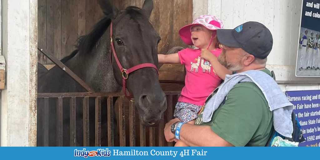 Hamilton County 4H Fair Indy with Kids