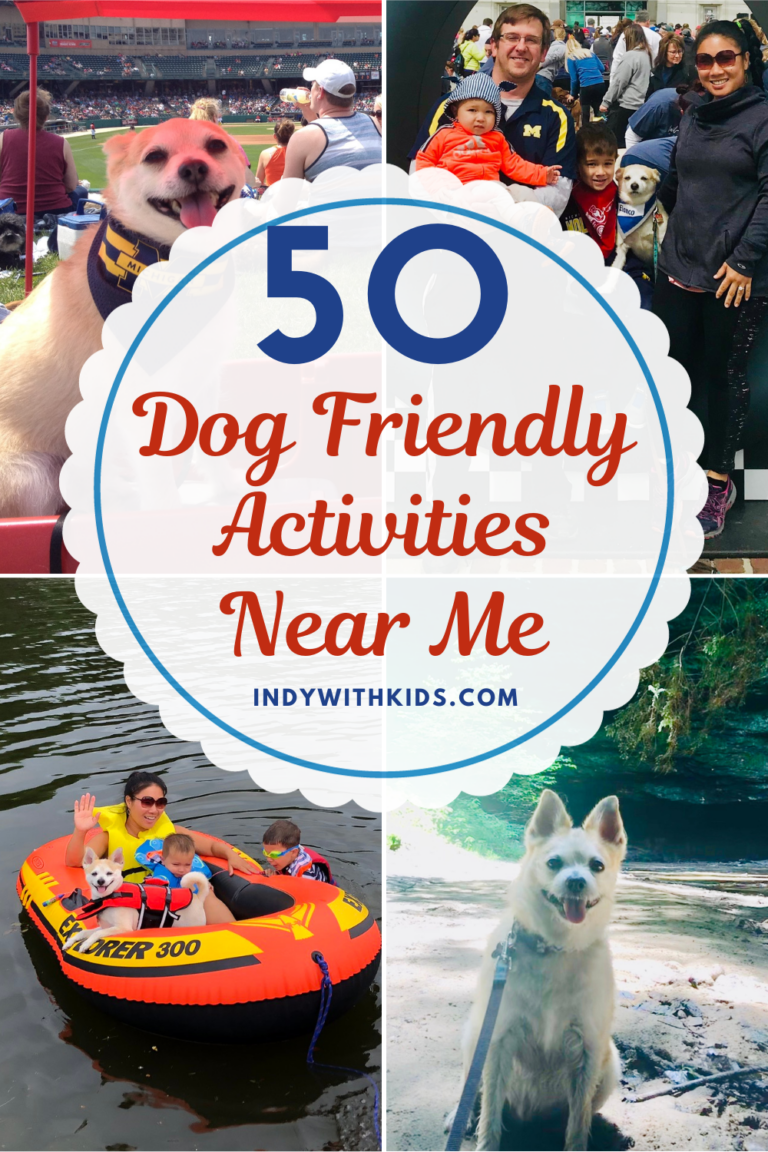 discover-50-dog-friendly-activities-near-me