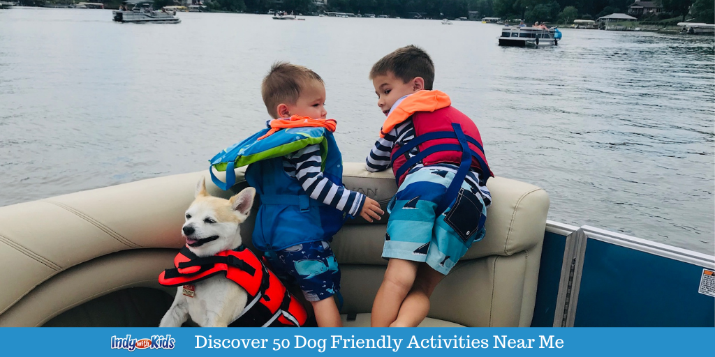 Discover 50 Dog Friendly Activities Near Me