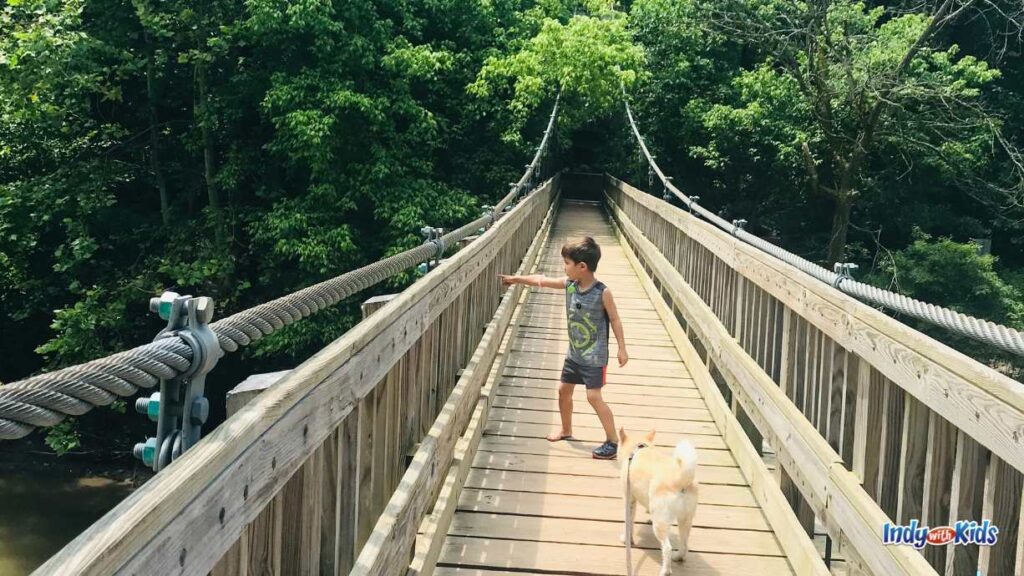 Turkey Run State Park: a boy and a dog on a suspension bridge made out of wood going into a bunch of trees. the boy is pointing at something over the bridge