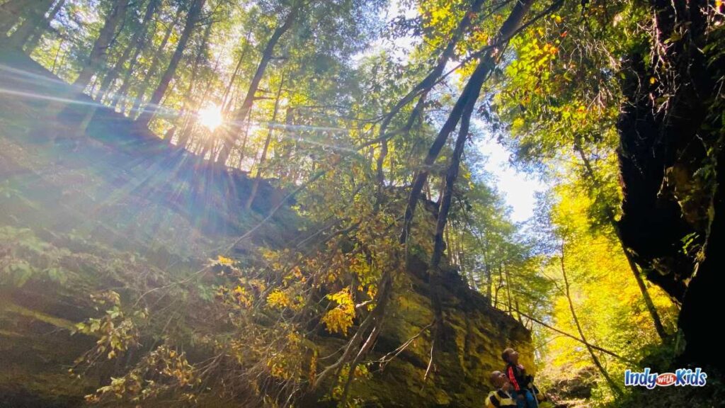 Turkey Run State Park: the sun peeks through the forest above the sandstone cliffs. a man holds up a child to get a closer look at the cliffs.